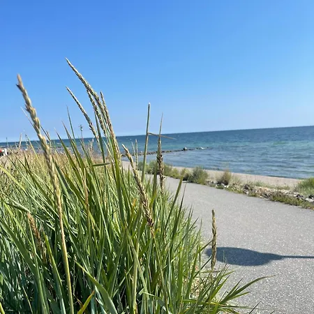 Silbergrass In Dahme-ostsee